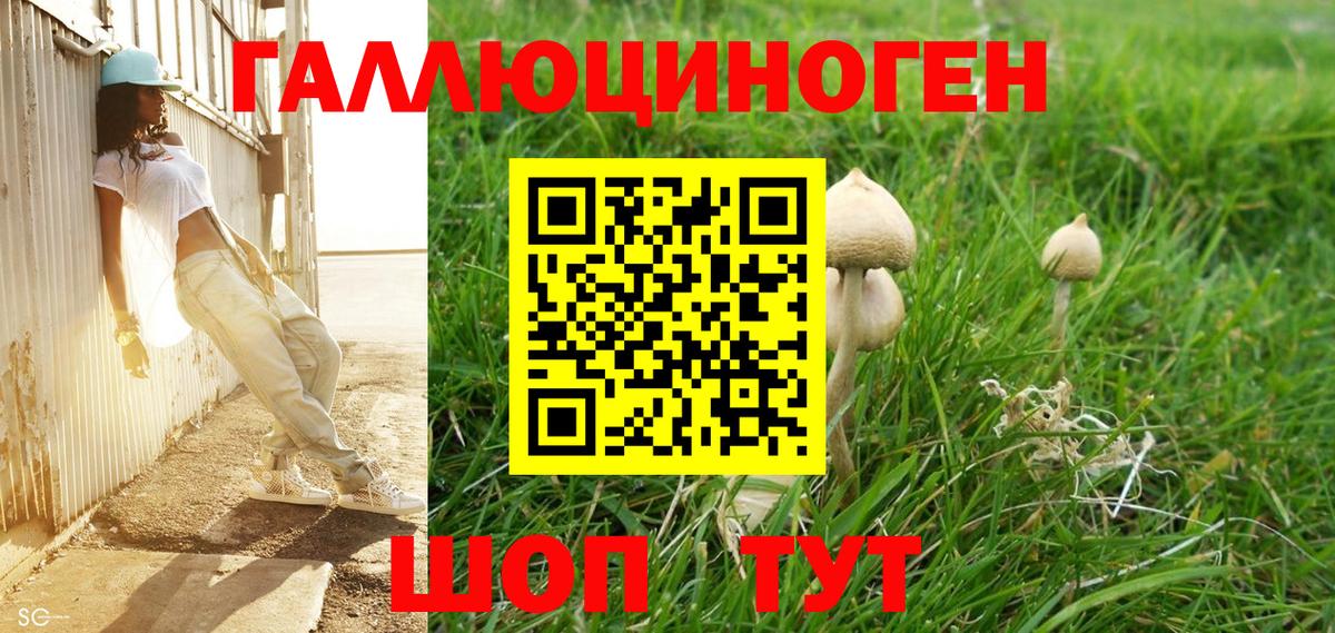 Галлюциногенные грибы мухоморы Тайшет