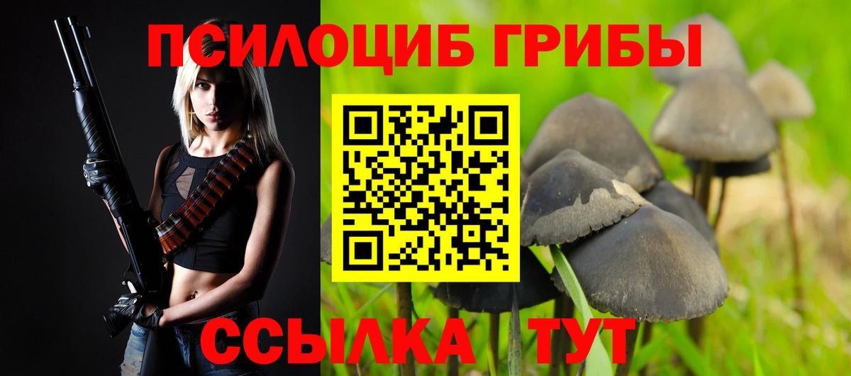 Тайшет  Псилоцибиновые грибы Psilocybine cubensis  Вход с VPN  Псилоцибиновые грибы MAGIC MUSHROOMS 
